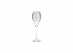 Salt & Pepper Champagneglazen|Aperitiefglazen|Champagneglas Cuvee 23cl - glas - transparant set van 2