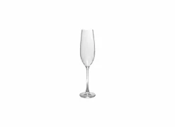 Salt & Pepper Champagneglas Saga 29cl - glas - transparant set van 4- Champagneglazen