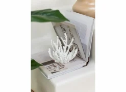 J line Deco Koraal S H16cm- Decoratieve Accessoires