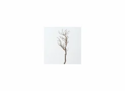 Herfstdecoratie|Kunsttakken|Decoratietak Drift Wood H93cm