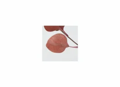 Decoratietak Eucalyptus H91cm- Herfstdecoratie|Kunsttakken