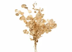 Kunsttakken|Kerstdecoratie|Decoratietak Eucalyptus H60cm