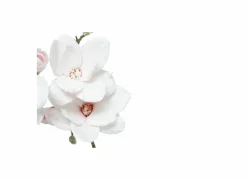 Decoratietak Magnolia H88cm polyester roze- Kunsttakken