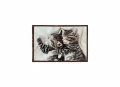 Deurmatten|Deurmatten|Deurmat Atrium Cuddle Kittens 40x60cm - nylon - multicolor