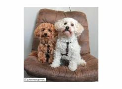 Draaifauteuil Nanook 71x71x94cm - stof - bruin- Fauteuils