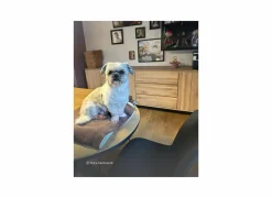 Dressoirs|Dressoir Polar 250cm - eik massief  & decor - naturel