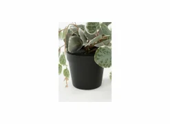 Mica Kunstplanten|Hangende kunstplant Ceropegia woodii H46cm polyester groen