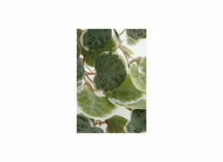 Mica Kunstplanten|Hangende kunstplant Ceropegia woodii H46cm polyester groen