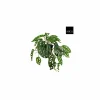 Mica Hangende kunstplant Monstera H40cm kunststof groen- Kunstplanten