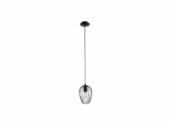 Hanglampen|Hanglamp Newton Ø16cm 60W E27