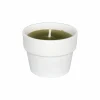 Kaars & Houder|Kaars in witte terracotta pot H10cm fresh lime