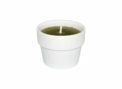 Kaars & Houder|Kaars in witte terracotta pot H10cm fresh lime