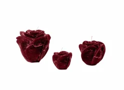 Kaars Roses S Ø8,5xH6,5cm - burgundy- Kaars & Houder