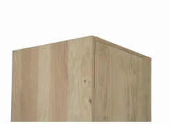 Draaideurkast|Draaideurkast|Kleerkast Holmes 50cm - MDF - eik