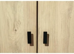 Draaideurkast|Draaideurkast|Kleerkast Holmes 50cm - MDF - eik