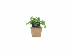 Kunstplanten|Kunstplant Basilicum H18,5cm