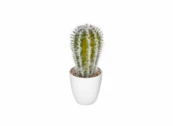 Kunstplanten|Kunstplant Cactus H18cm
