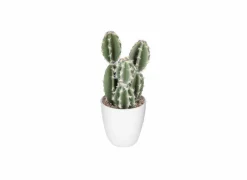 Kunstplanten|Kunstplant Cactus H18cm