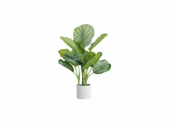 Kunstplanten|Kunstplant Calathea H48cm