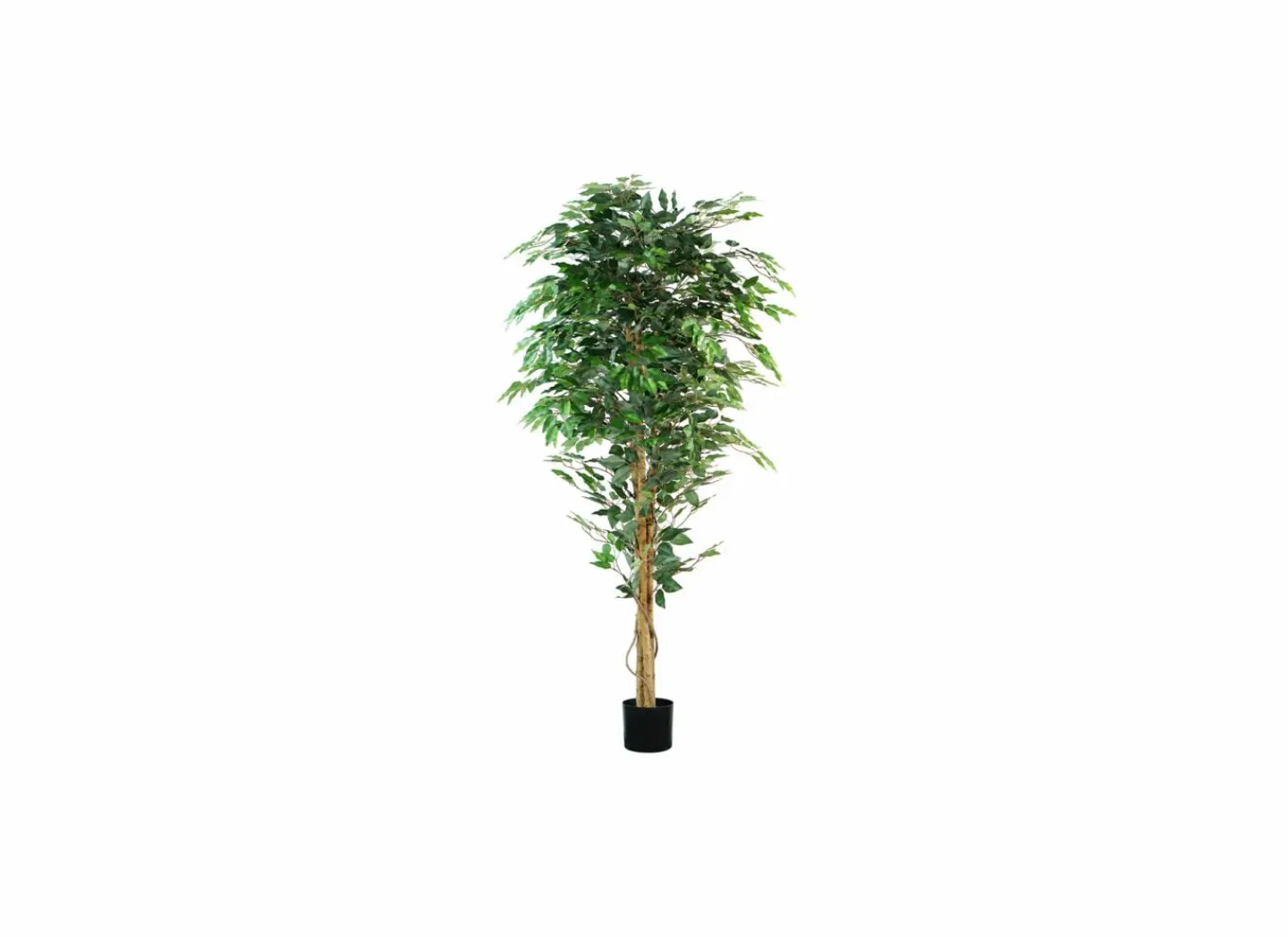 Kunstplant Fiscus H180cm- Kunstplanten