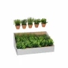 Mica Kunstplanten|Kunstplant Kruiden in pot H18cm
