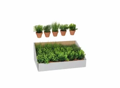 Mica Kunstplanten|Kunstplant Kruiden in pot H18cm