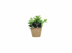 Kunstplanten|Kunstplant Munt H20cm
