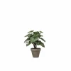 Kunstplanten|Kunstplant Peperomia + pot Stan H24cm