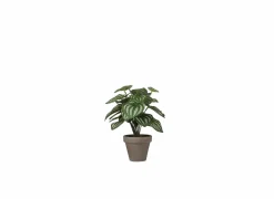 Kunstplanten|Kunstplant Peperomia + pot Stan H24cm
