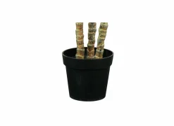 Kunstplant Yucca H150cm- Kunstplanten