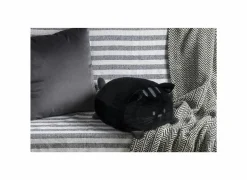 Kussen Kitty 33x20cm - polyester - zwart- Kussens|Kinderdecoratie