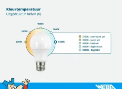Ledlampen|LED-lamp Star 2,3W E14 mat
