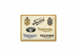 Andere Wanddecoratie|Plakkaat Triumph 40x30cm - metaal - multicolor