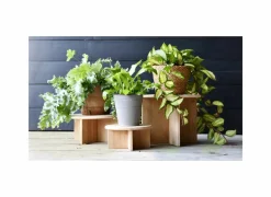 Plantenstandaard Large H19,5cm bamboe naturel- Vazen & Bloempotten|Vazen & Bloempotten