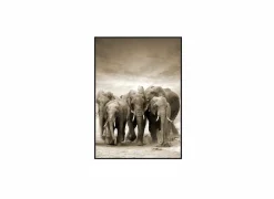 Print op canvas Etosha 80x120cm- Kaders & Prints