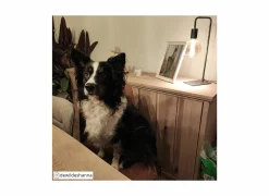 Tafellampen|Tafellamp Keli E27 H45m