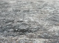 Ragolle Tapijten|Tapijten|Tapijt Aspero 200x290cm - polyester - multicolor