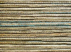 Ragolle Tapijten|Tapijten|Tapijt Brandon 200x290cm - polypropyleen - groen