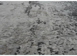 Ragolle Tapijten|Tapijten|Tapijt Caucus 200x290cm - polyestervezel - multicolor