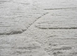 Ragolle Tapijt Madagaskar 200x290cm - polyestervezel - wit- Tapijten|Tapijten