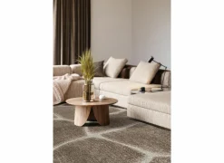 Ragolle Tapijt Madagaskar 160x230cm - polyestervezel - bruin- Tapijten|Tapijten