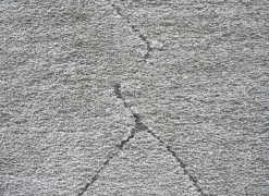 Ragolle Tapijten|Tapijten|Tapijt Madagaskar 240x300cm - polyestervezel - lichtgrijs