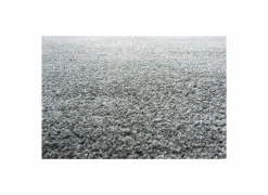 Ragolle Tapijten|Tapijten|Tapijt Medusa 200x290cm - polyestervezel - grijs