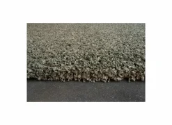 Ragolle Tapijt Twister 240x340cm - polypropyleen - groen- Tapijten|Tapijten