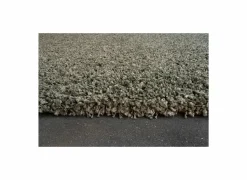 Ragolle Tapijten|Tapijten|Tapijt Twister 160x230cm - polypropyleen - groen