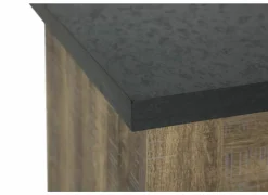 Tv-meubel Etienne 132cm - decor - industriële eik & zwart- Tv-Meubels|Tv-Meubels