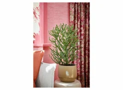 Mica Vaas Matteo Ø16x13cm - terracotta - taupe- Vazen & Bloempotten|Vazen & Bloempotten