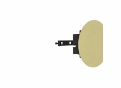 Wandlamp|Wandlamp Talamello geborsteld goud 4W LED